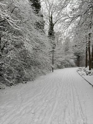 Foto 26 uit X- Sneeuw in de Beverwaard 2026