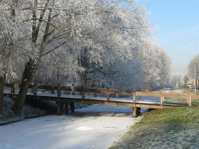 Foto 95 uit WinterIn Beverwaard