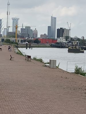 Foto 6 uit SchepenKijken Maas