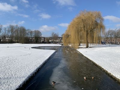 Foto 178 uit WinterIn Beverwaard