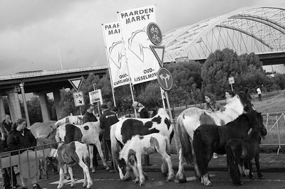 Foto 34 uit Paardenmarkt29-6