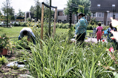 Foto 52 uit Tropische Tuin12_6