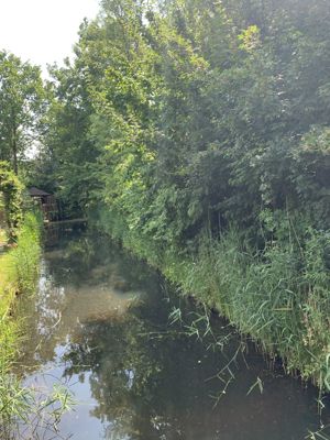 Foto 71 uit Rondje Beverwaard 2026