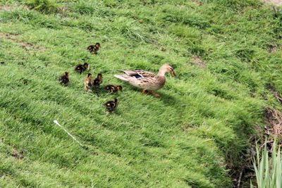 Foto 13 uit Verkeersexamen16_4