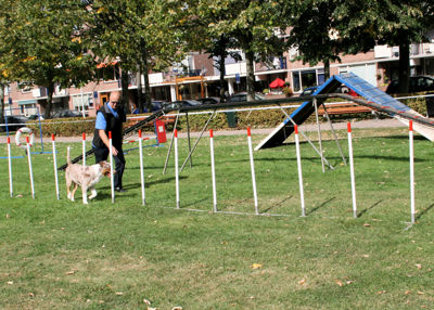 Foto 111 uit Wijkfeest12-09-2009