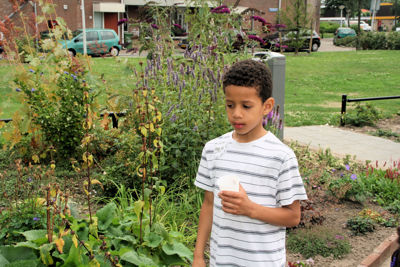 Foto 119 uit TropischeTuin 2017