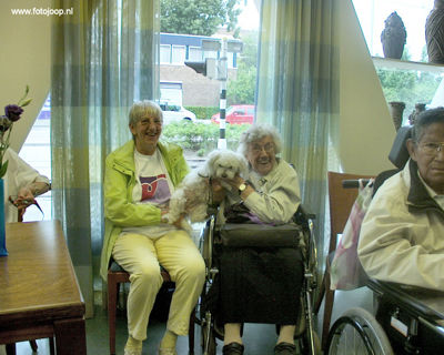 Foto 218 uit 15_06 susannadijk