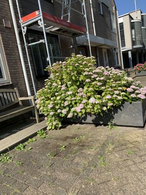 Foto 332 uit Rondje Beverwaard 2026