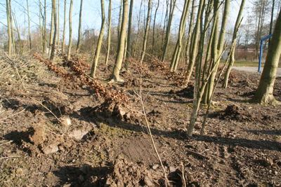 Foto 2 uit Boomplantdag16-3