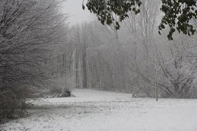 Foto 18 uit WinterIn Beverwaard_2