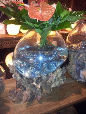 Foto 96 uit NeelyshaBloemen