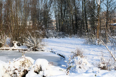 Foto 23 uit SneeuwBeverwaard10