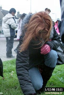 Foto 3 uit bloembollen planten