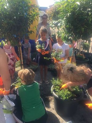 Foto 23 uit VrolijkSevenaerstraat