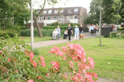 Foto 258 uit Ouderen4Daagse2017