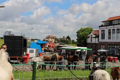 Foto 110 uit Paardenmarkt29-6