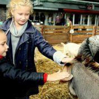 Foto 5 uit LikeJeWijkfeest14-9