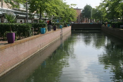 Foto 82 uit HippePlantenBakken