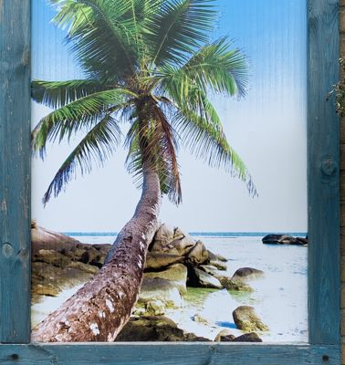 Foto 4 uit PlantenAlerdincksingel