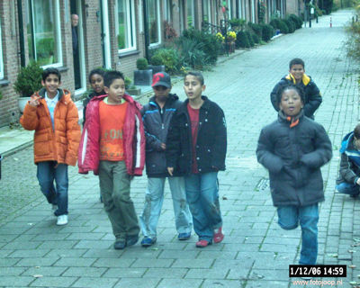 Foto 54 uit bloembollen planten