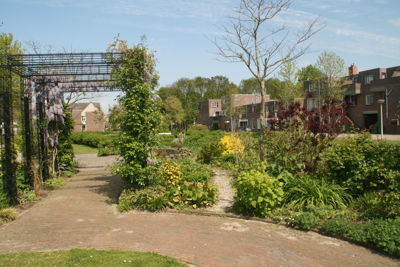 Foto 294 uit TropischeTuin 2017