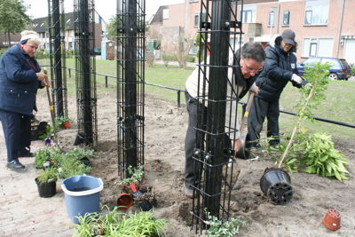 Foto 12 uit Tropische Buurttuin