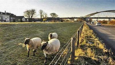 Foto 333 uit BRIENENOORDBRUG