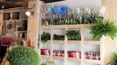 Foto 88 uit De Bloemenboetiek