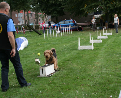 Foto 133 uit Wijkfeest12-09-2009