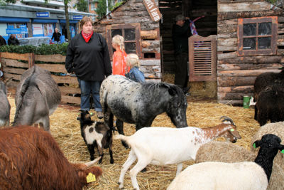 Foto 209 uit LikeJeWijkfeest14-9