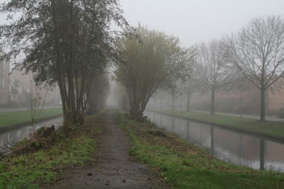 Foto 549 uit StratenBEVERWAARD