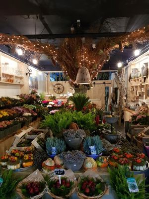 Foto 6 uit De Bloemenboetiek