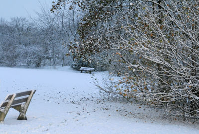 Foto 16 uit Kerst Beverwaard09