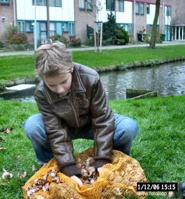 Foto 97 uit bloembollen planten