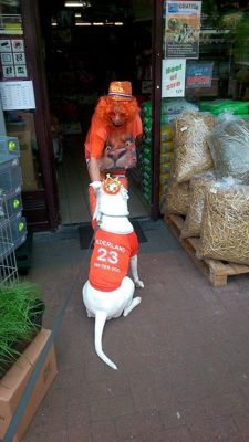 Foto 12 uit OranjeInBeverwaard