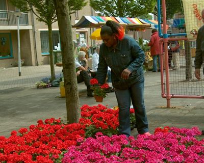 Foto 85 uit opzoomeren 29_5_8