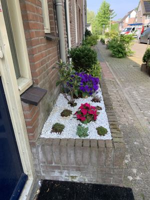 Foto 239 uit Rondje Beverwaard 2026