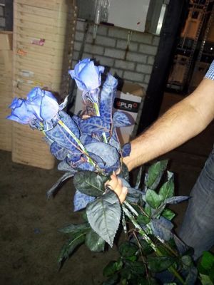 Foto 3 uit NeelyshaBloemen