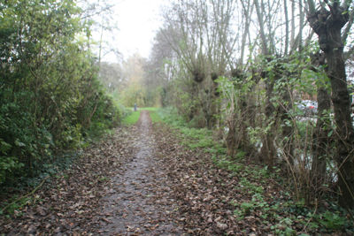 Foto 160 uit Herfst In Beverwaard