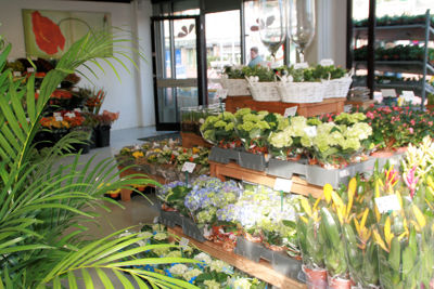 Foto 229 uit WINKELSBeverwaard