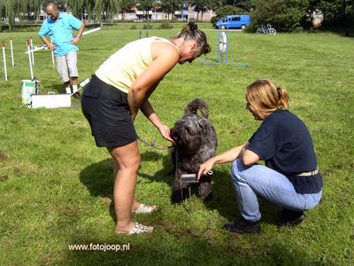 Foto 76 uit wijkparkfeest 2005