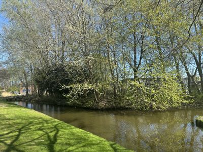 Foto 257 uit Rondje Beverwaard 2026