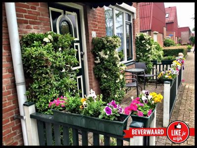 Foto 72 uit LIKEJEWIJK-2016