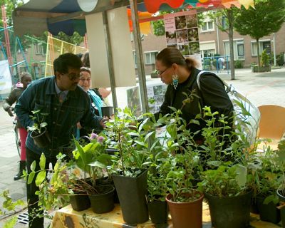 Foto 83 uit opzoomeren 29_5_8