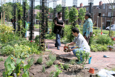 Foto 4 uit Tropische Tuin12_6