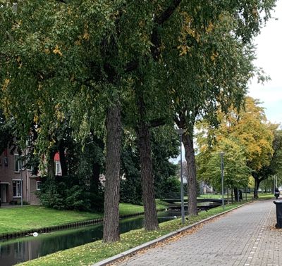 Foto 160 uit Rondje Beverwaard 2026