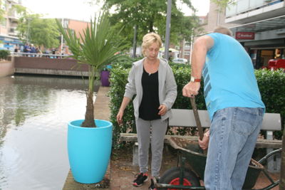 Foto 50 uit HippePlantenBakken