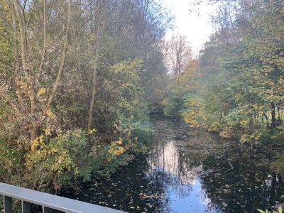 Foto 417 uit Rondje Beverwaard 2026