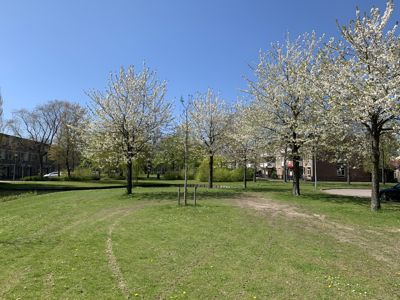 Foto 469 uit Rondje Beverwaard 2026