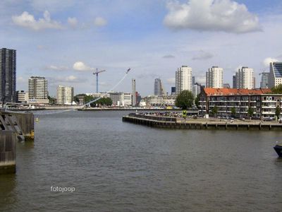 Foto 125 uit red bull air race r.dam